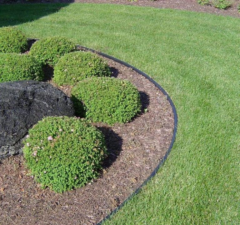 Plastic edge restraint for borders between mulch and lawn.