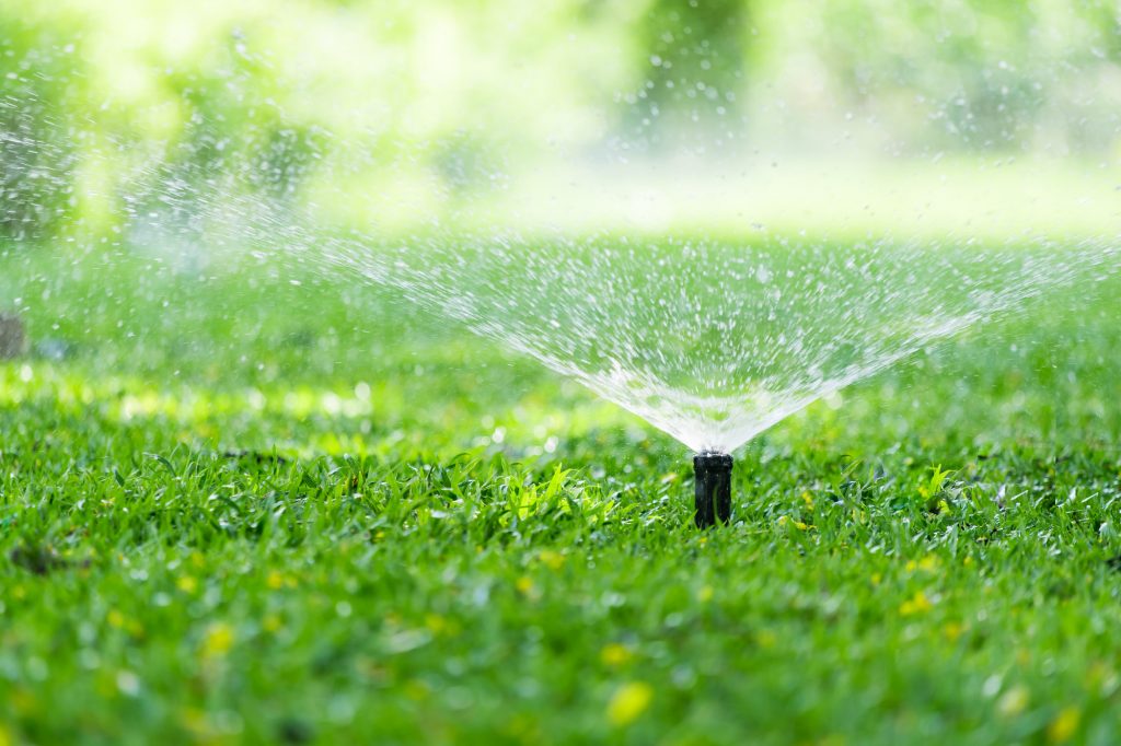 Watering Lawn and conserving water in Victoria BC