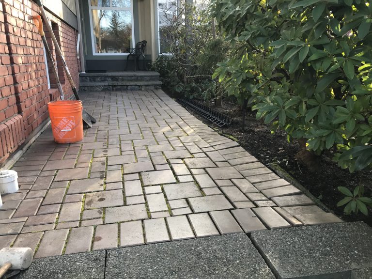 Pavers Damaged by Age and Roots
